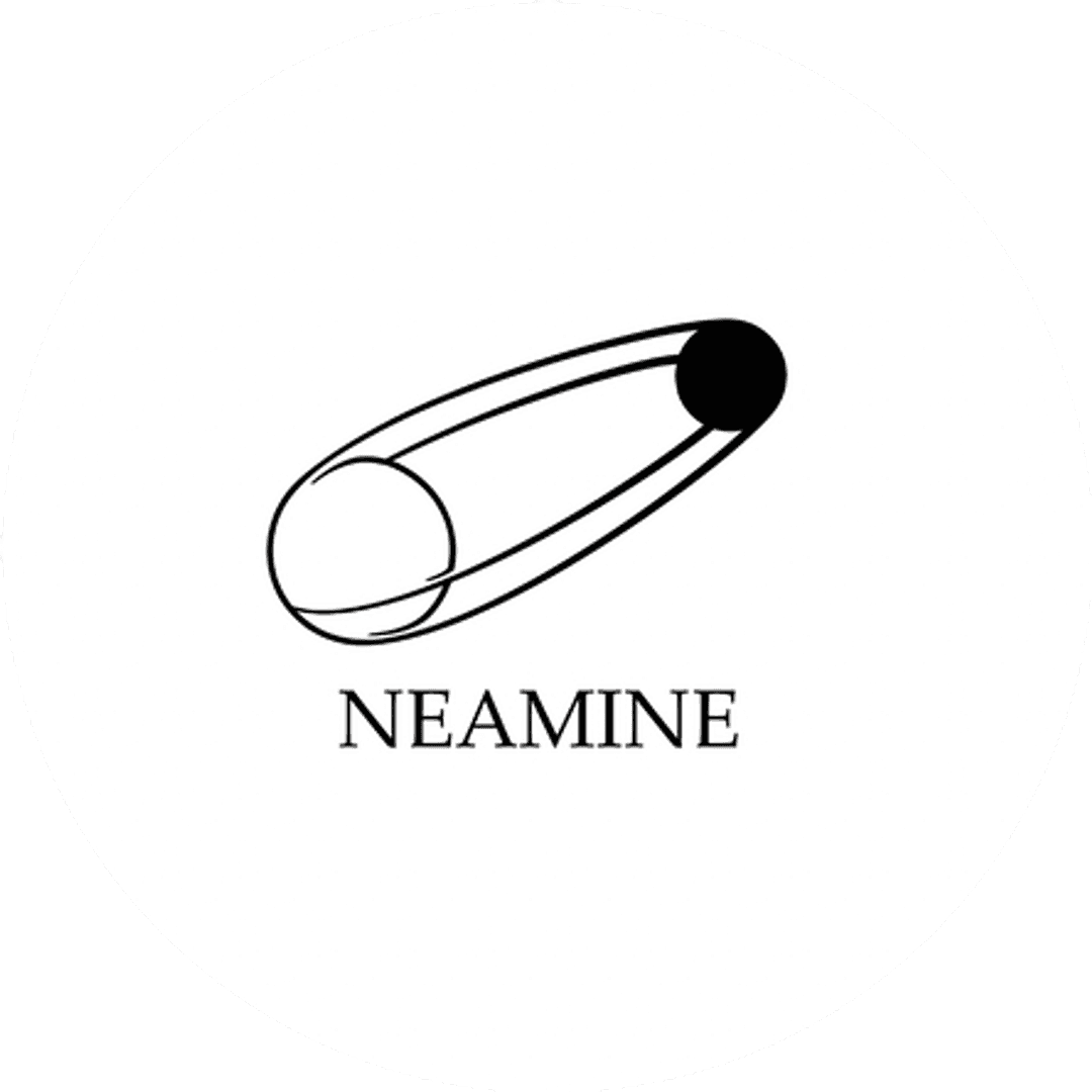 Company Name