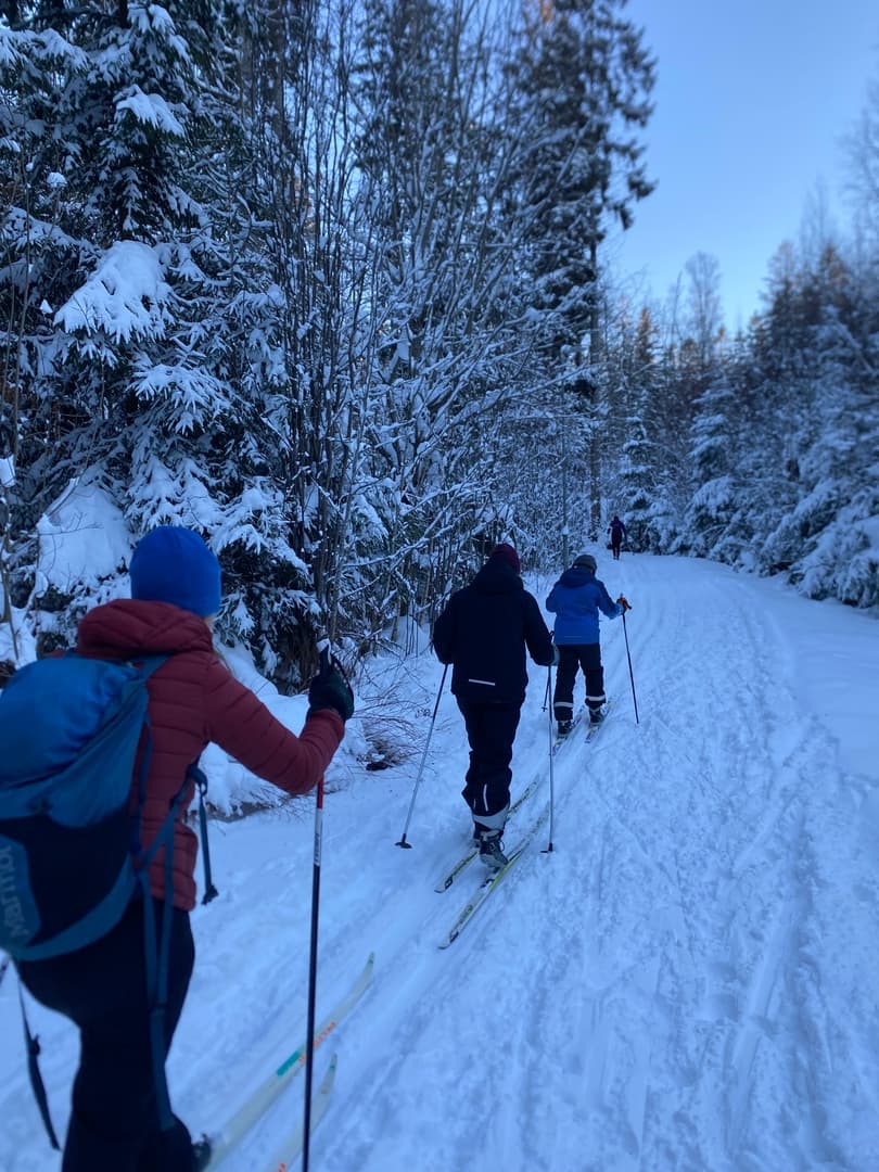 Cross-country skiing through snowy Swedish forest