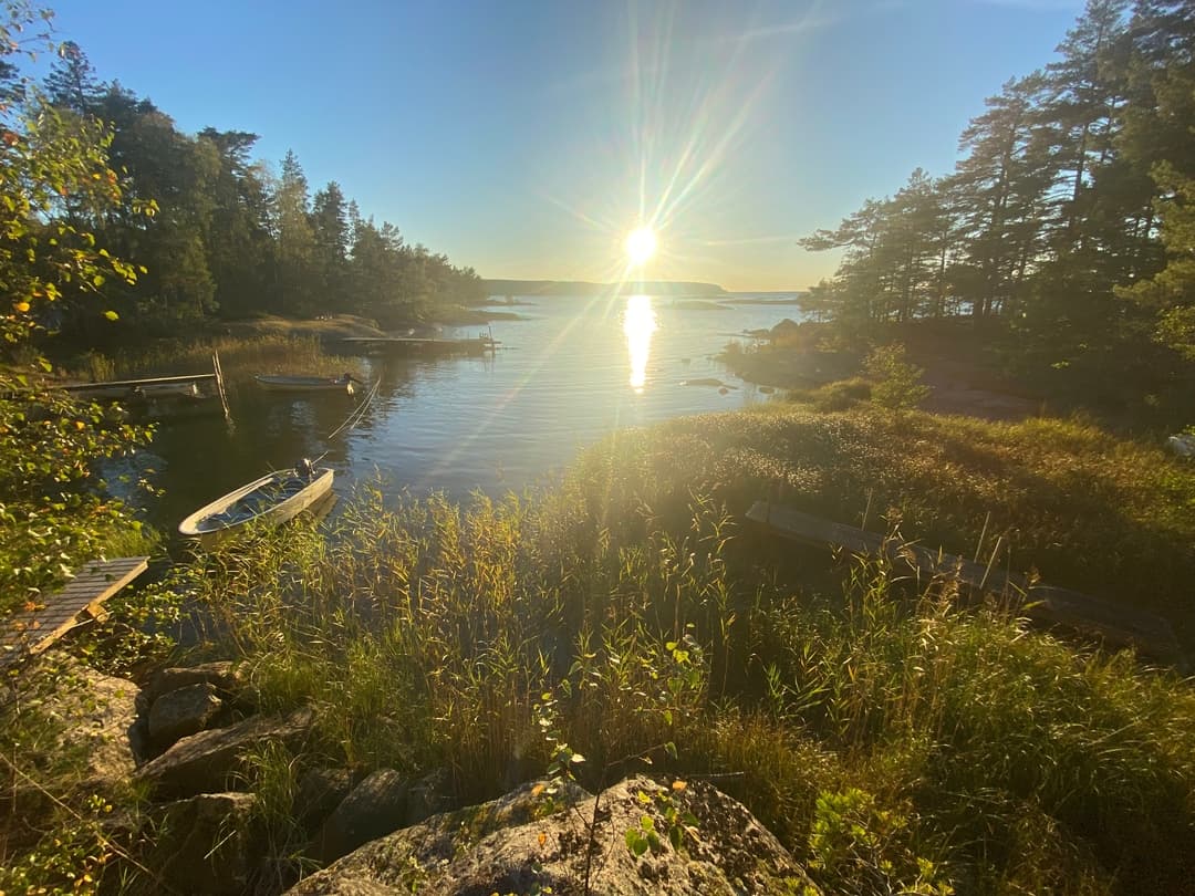 Summer at Åkersäng — swimming from the dock on a sunny day